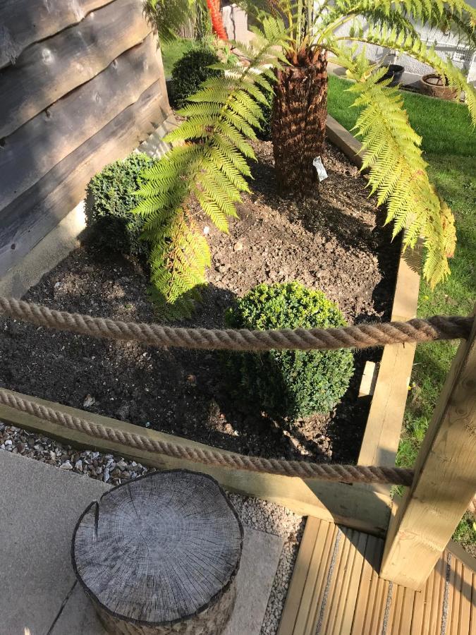 Winnie'S Corner - Self Contained Within The Grounds Of Another Property, In An Idyllic Wooded Setting Carlyon Bay Zewnętrze zdjęcie